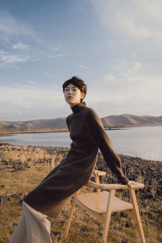 Cashmere Dress - GOBI Cashmere