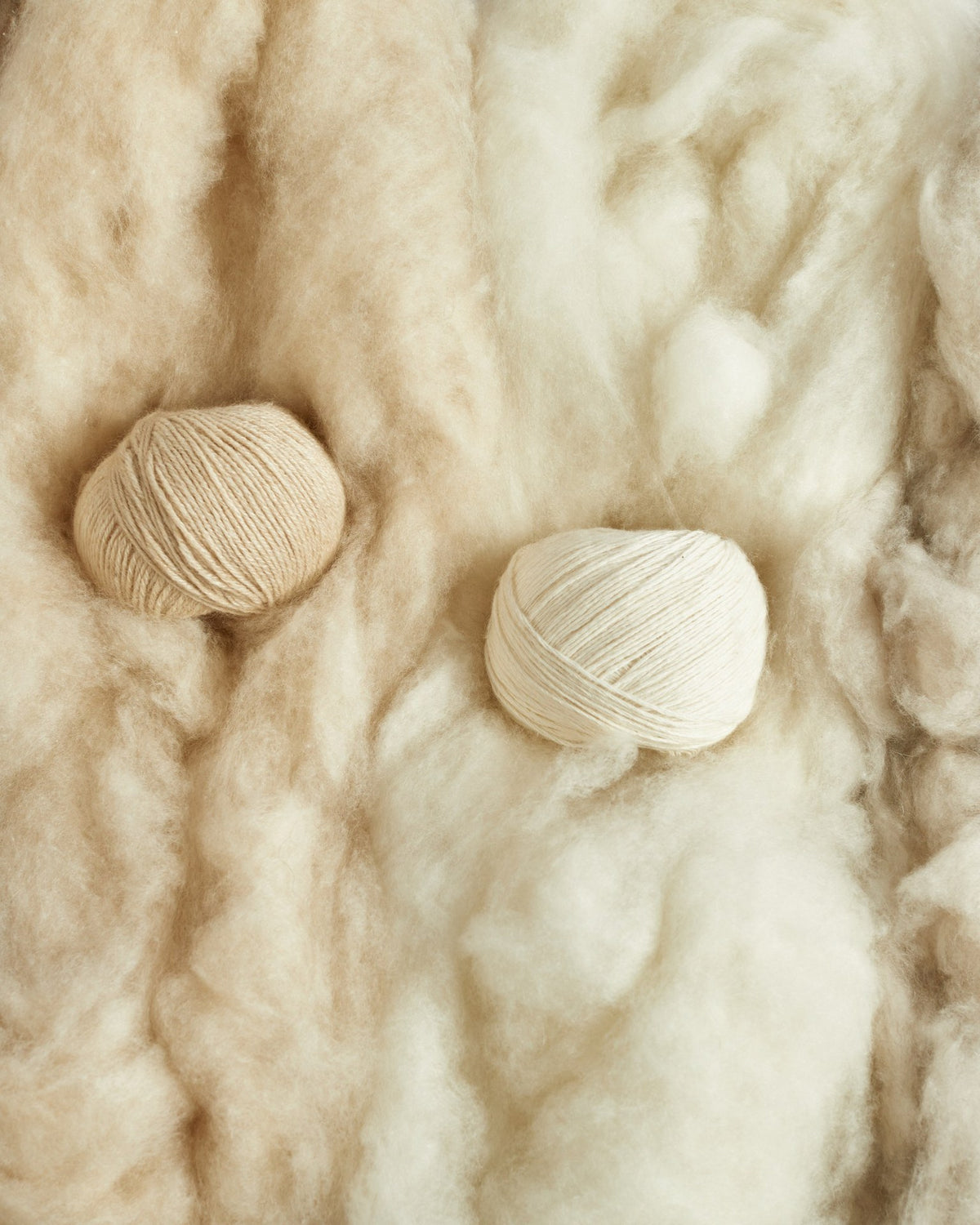 Two balls of undyed cashmere yarn resting on raw white cashmere fleece