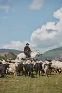 A Journey Through the Seasons of the Nomadic Lifestyle