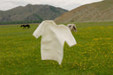 Why Lightweight Cashmere T-Shirts Are a Smart Choice for Summer