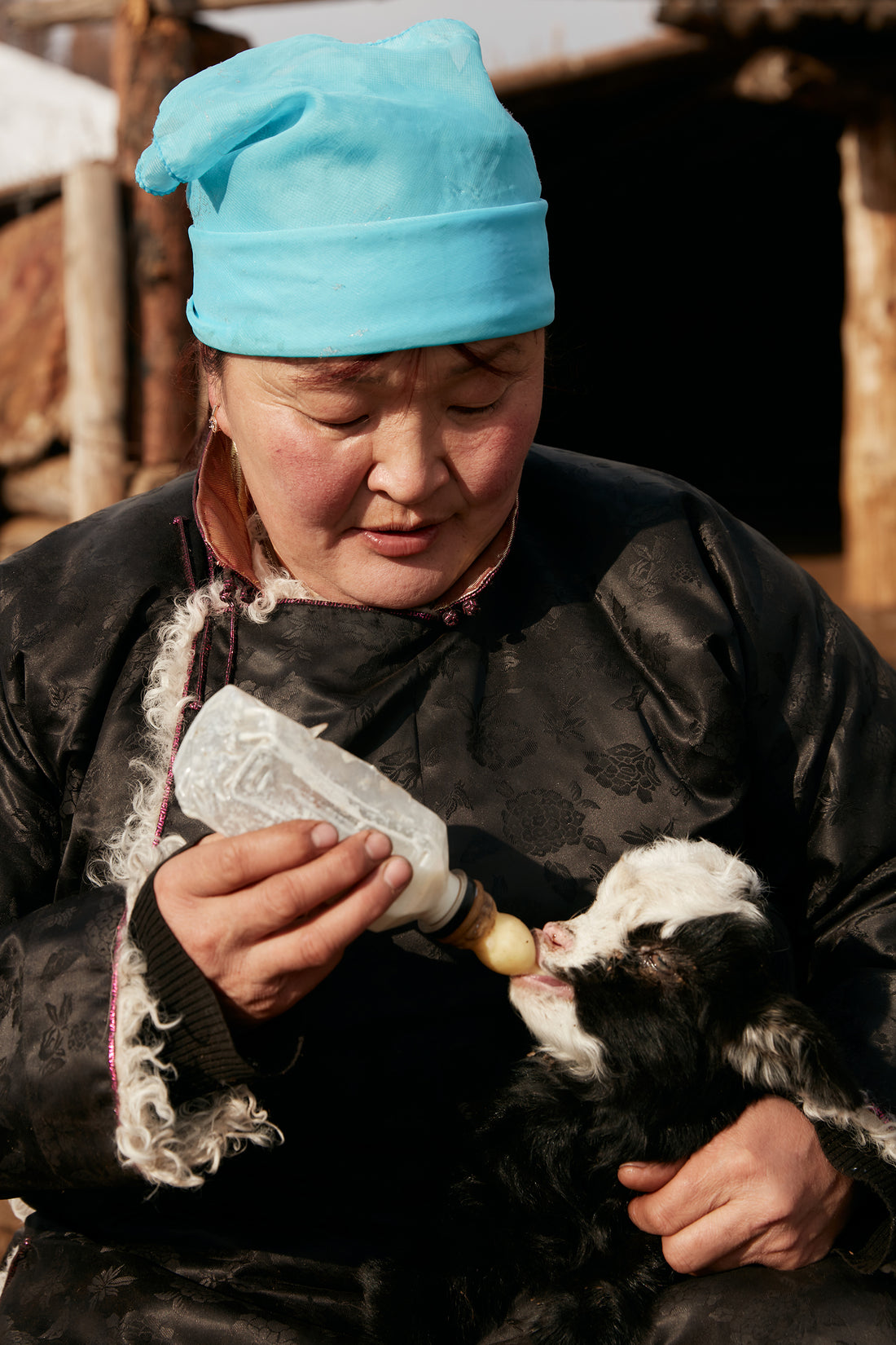 Living as a female herder in Mongolia