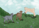 Three Happy Goats, Part Two: The Journey Continues
