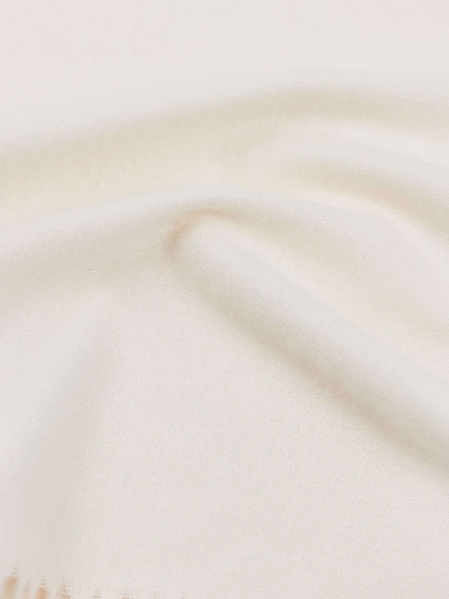 Cashmere Fringed Scarf