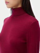 Close-up of a person wearing a burgundy turtleneck sweater against a white background #color_bordeaux