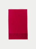 Red scarf with fringe on a white background #color_barberry