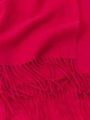 Close-up of a bright pink red fabric with fringes #color_barberry