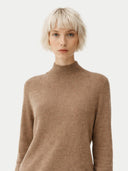 Person wearing a brown turtleneck sweater on a white background #color_taupe