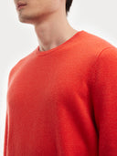 Men's Essential Crewneck Cashmere Sweater - Pure Mongolian Cashmere Fiesta - Gobi Cashmere #color_fiesta