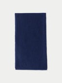 Navy blue fabric scarf on a light gray background #color_navy-blazer