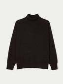 Dark Brown turtleneck sweater on a light gray background #color_mole