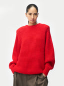 Person wearing a red sweater on a plain background #color_fiery-red