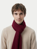 Man wearing a burgundy scarf and beige sweater on a white background. #color_bordeaux