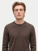 A man wearing a dark brown crewneck knit sweater, photographed from the chest up against a light gray studio background.
