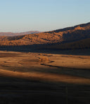 Hilly landscape with autumn foliage and a clear sky