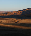 Hilly landscape with autumn colors and a clear sky