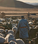 Shepherd walking among a flock of sheep in a rural landscape with mountains in the background.