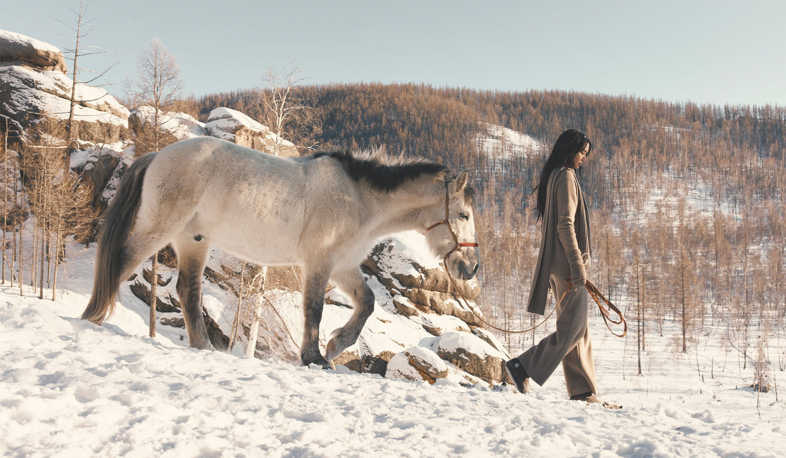Person walking a horse on a snowy landscape with mountains in the background. desktop