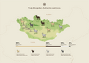 Infographic map of Mongolia showing the natural distribution of cashmere goat colours: 55% beige, 28% brown, 15% white and 2% blue grey