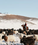 Winter Preparedness