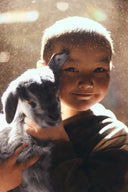 A smiling child holding a grey goat kid, backlit by the sun